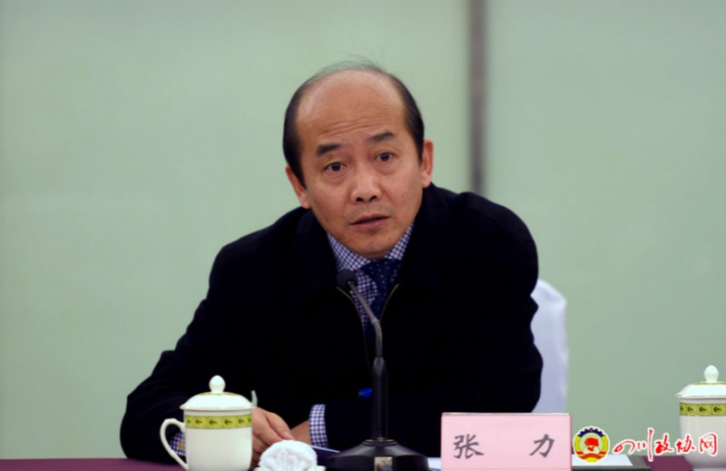 民盟四川省委副主委、省民政厅副厅长张力回答记者提问