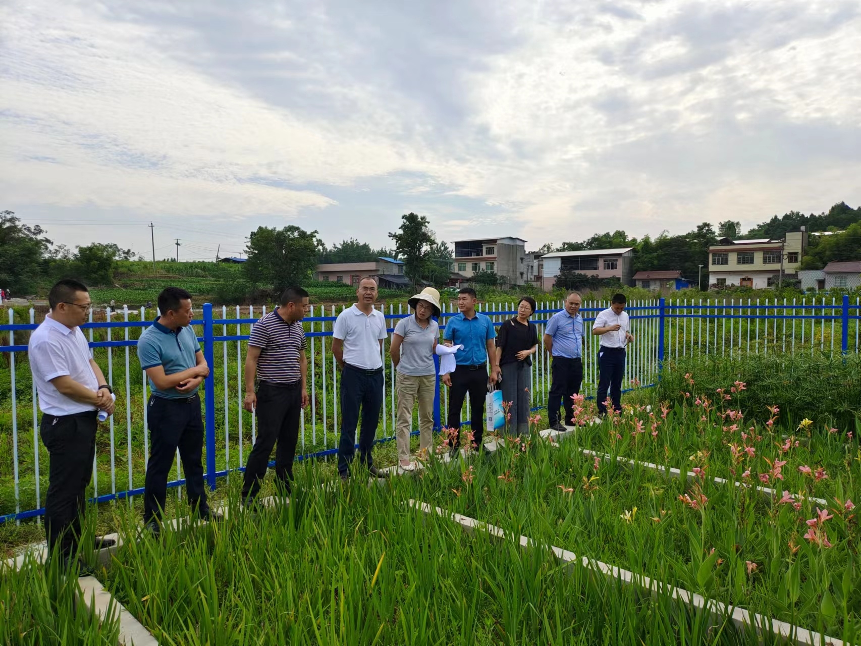 农工党德阳市委对农村生活污水处理情况进行监督3.jpg