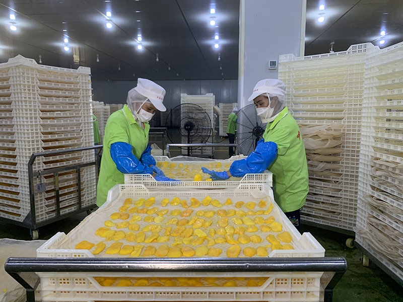 携手建设更加美好的世界
——写在习近平主席提出构建人类命运共同体理念十周年之际「相关图片」
