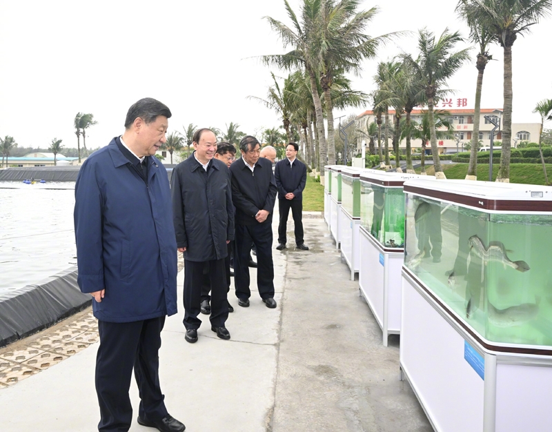 习近平在广东考察调研「相关图片」