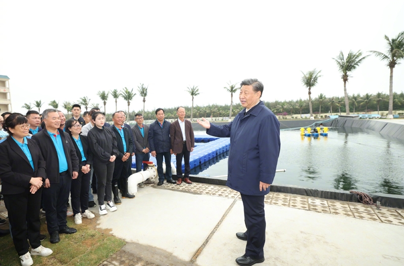 习近平在广东考察调研「相关图片」
