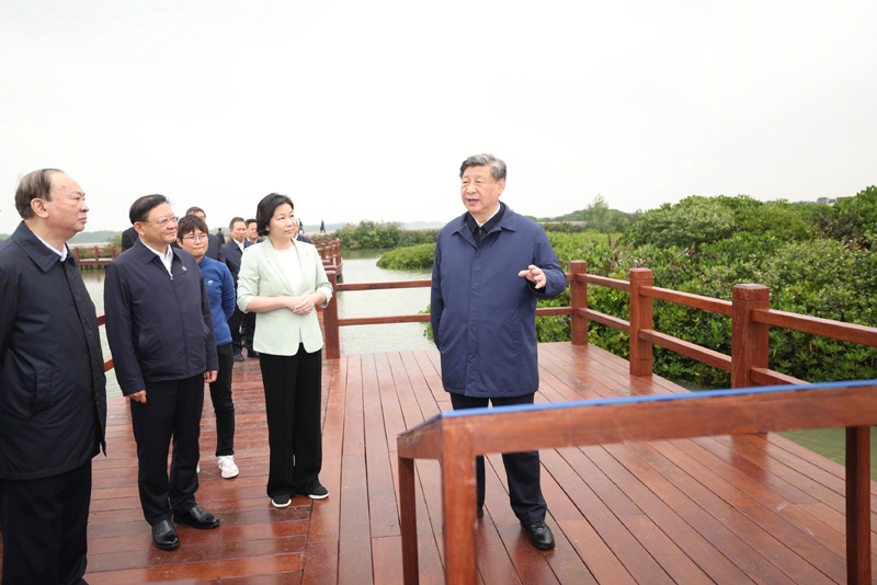 习近平在广东考察调研「相关图片」