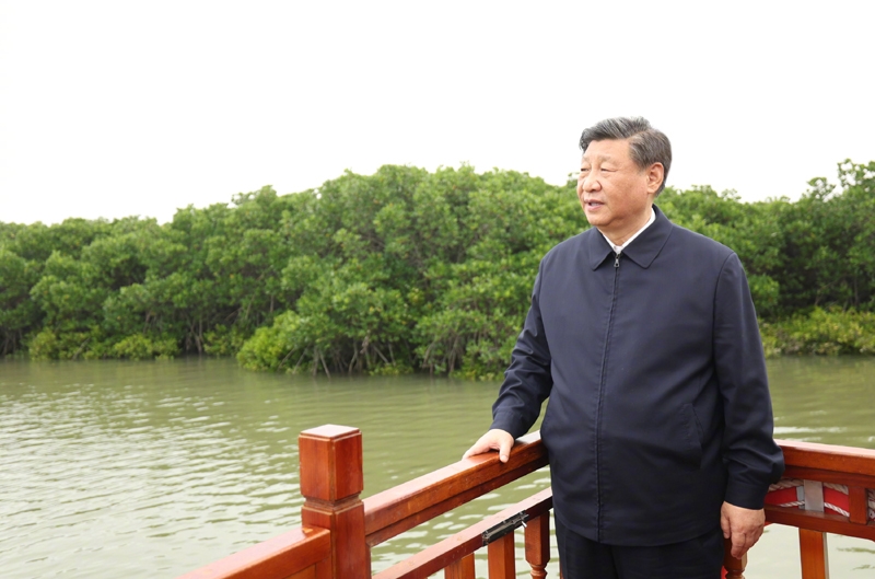 习近平在广东考察调研「相关图片」