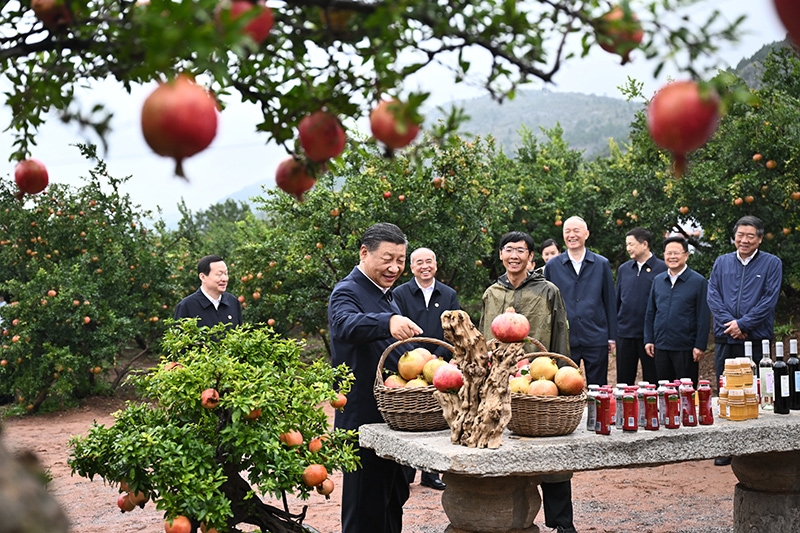 习近平在浙江考察时强调
始终干在实处走在前列勇立潮头
奋力谱写中国式现代化浙江新篇章
返京途中在山东枣庄考察
蔡奇陪同考察「相关图片」