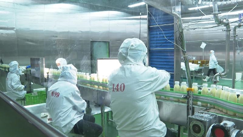 37人！南PG电子APP下载 - 官方正版，安全无忧充公开招聘其中社招32人校招5人