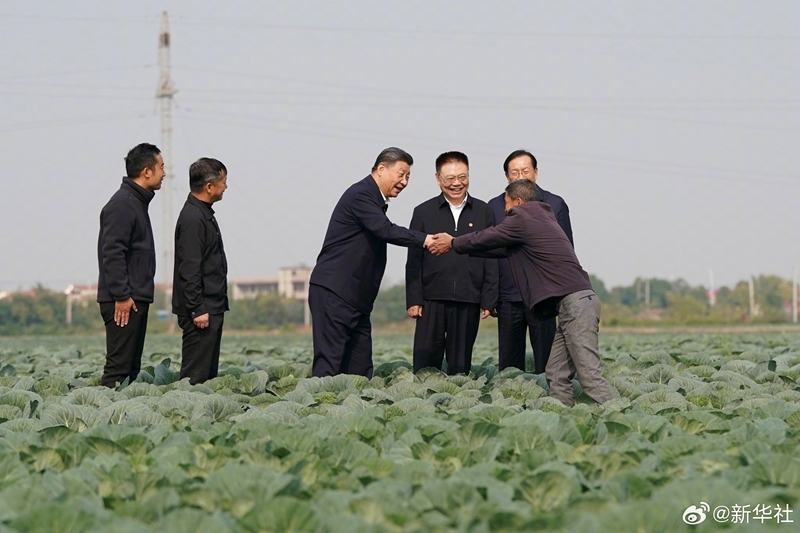 习近平在湖北考察调研「相关图片」