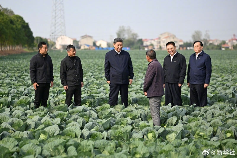 习近平在湖北考察调研「相关图片」