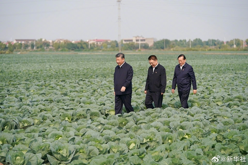 习近平在湖北考察调研「相关图片」