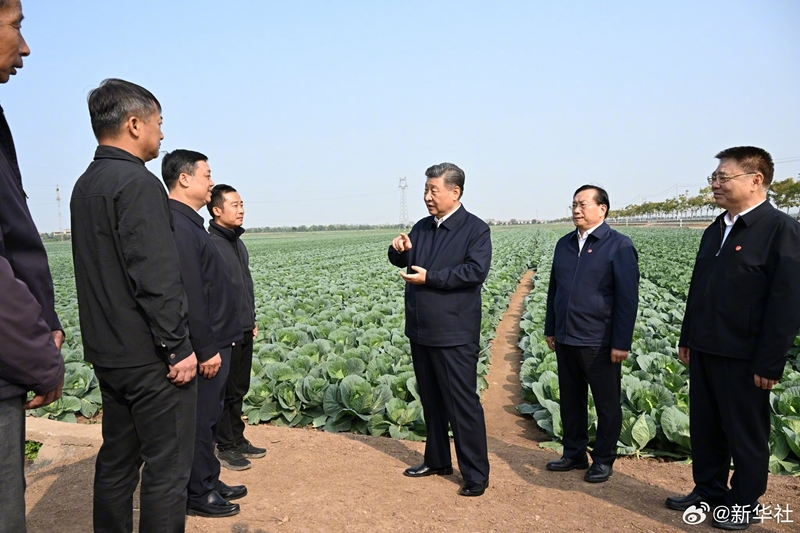 习近平在湖北考察调研「相关图片」