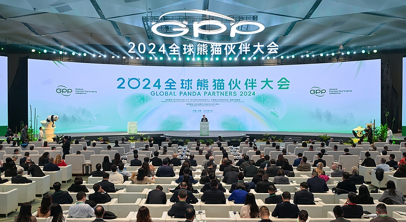 2024全球熊猫伙伴大会在蓉开幕
王晓晖出席 傅华施小琳关志鸥致辞「相关图片」