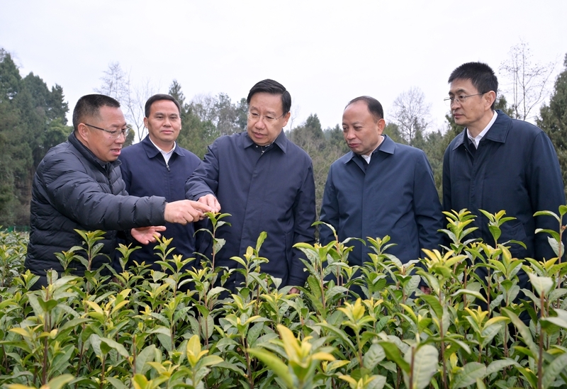 王晓晖在绵阳市广元市调研时强调 
坚持把发展立足点放在高质量发展上 
在因地制宜实干争先中不断开创新局面「相关图片」