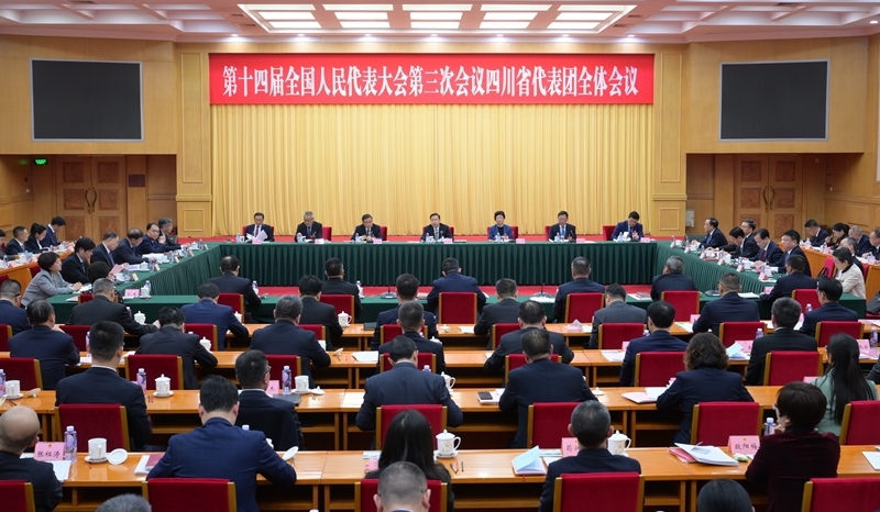 四川代表团举行全体会议 
推选王晓晖为团长 施小琳等为副团长「相关图片」