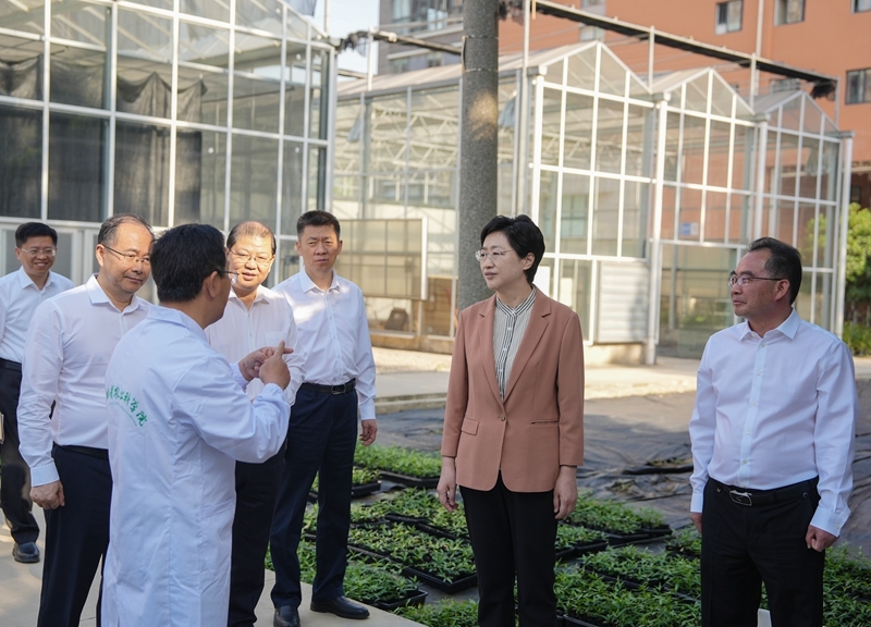施小琳在农业农村厅和省农科院调研并召开专题会议 
坚持守正创新协同联动 
务实有为推动“三农”高质量发展「相关图片」