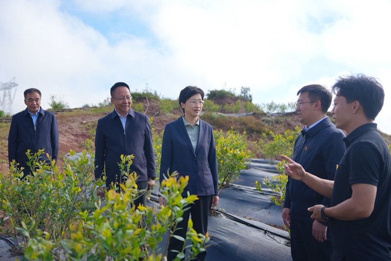 施小琳在凉山州调研时强调
做强特色优势产业 着力保障改善民生
扎实推动民族地区高质量发展「相关图片」