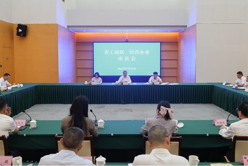 普布顿珠在成都调研民营经济发展情况时强调：坚定信心乘势而上助推四川高质量发展