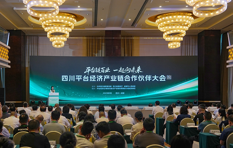 2025四川平台经济产业链合作伙伴大会在蓉举行
施小琳出席「相关图片」