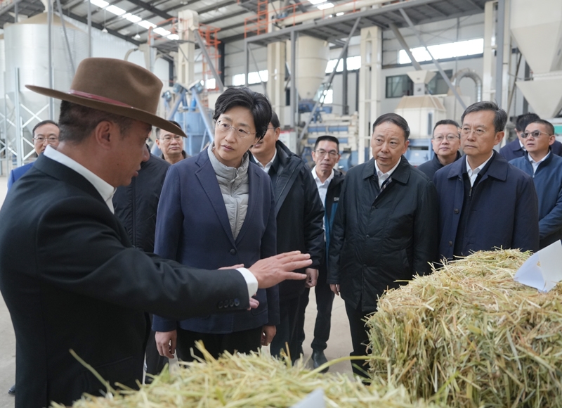 施小琳在甘孜调研时强调
加强生态保护 做强特色产业 提升治理水平
持续保障改善民生 推动民族地区高质量发展「相关图片」