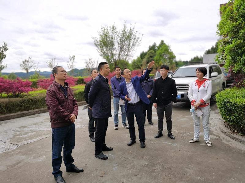 绵阳盐亭县委书记何长鹰深入大兴回族乡调研
