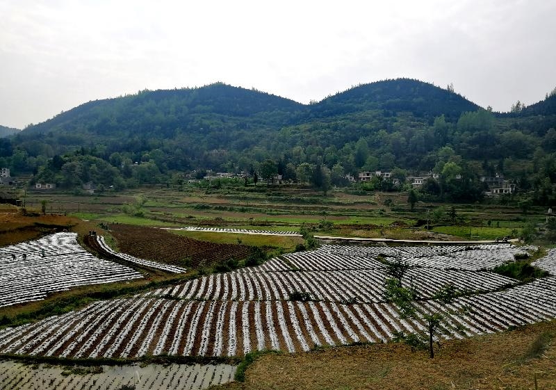 泸州古蔺县石宝镇起垄覆膜奏响春耕进行曲蔬菜种植吹响致富冲锋号
