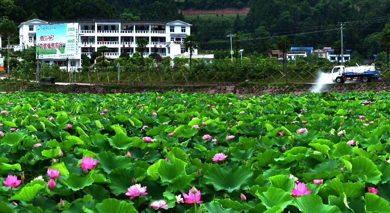 遂宁蓬溪县常乐镇打响乡贤牌唱好共富经