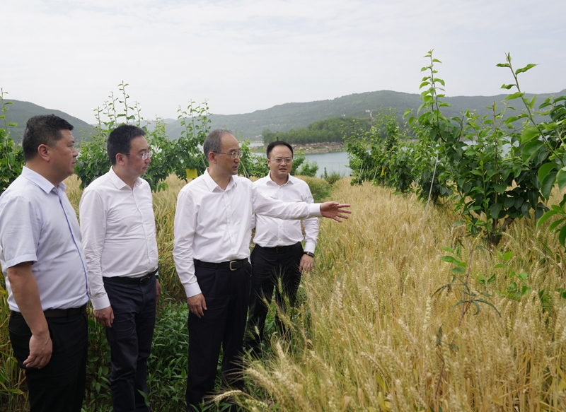 黄强在广元市调研时强调
全力以赴推动经济运行整体好转「相关图片」