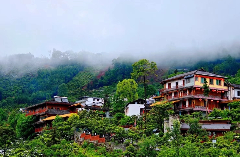 黄强在绵阳市调研时强调 
努力为经济整体向好和高质量发展大局作出更大贡献「相关图片」