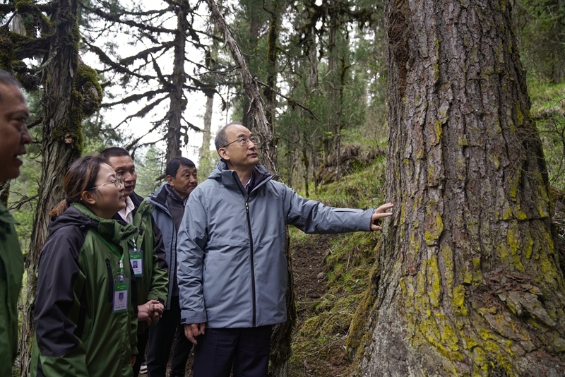 黄强在绵阳市调研时强调 
努力为经济整体向好和高质量发展大局作出更大贡献「相关图片」