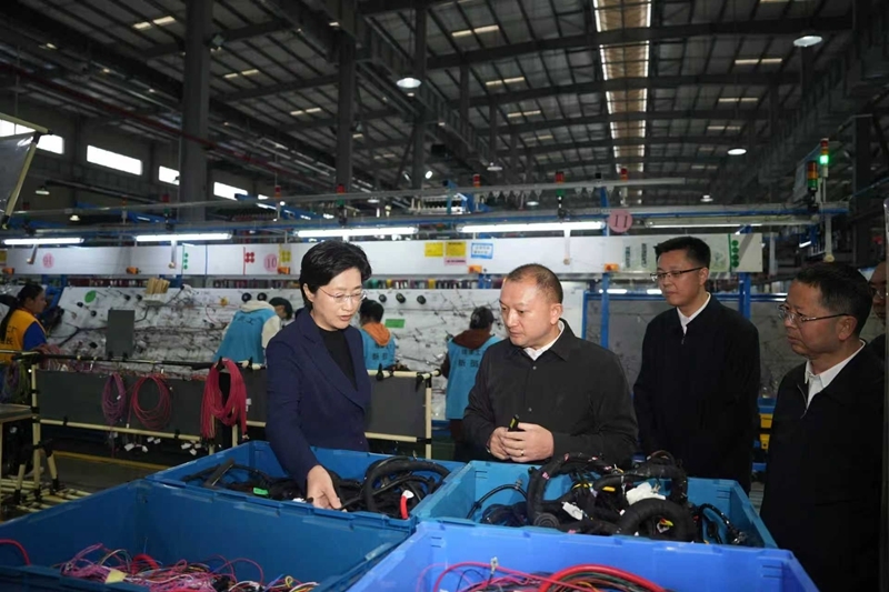 施小琳在广安调研时强调
深入学习贯彻党的二十届四中全会精神
以高质量发展实效确保“十四五”收好官“十五五”开好局「相关图片」