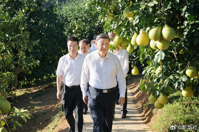 习近平在广东省梅州市考察调研「相关图片」