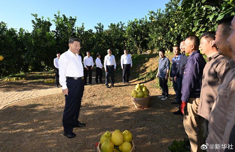 习近平在广东省梅州市考察调研「相关图片」