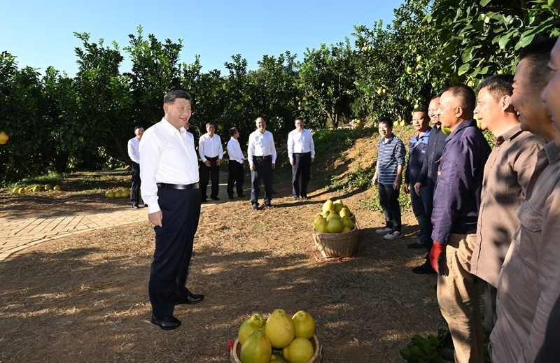 习近平在广东考察时强调 
深入学习宣传贯彻党的二十届四中全会精神 
以全面深化改革开放推动高质量发展 
蔡奇陪同考察「相关图片」