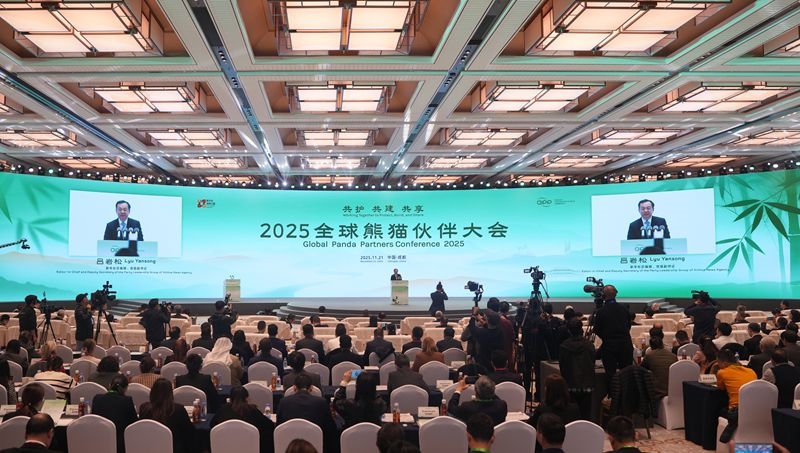 2025全球熊猫伙伴大会在蓉开幕 
吕岩松施小琳刘国洪致辞「相关图片」