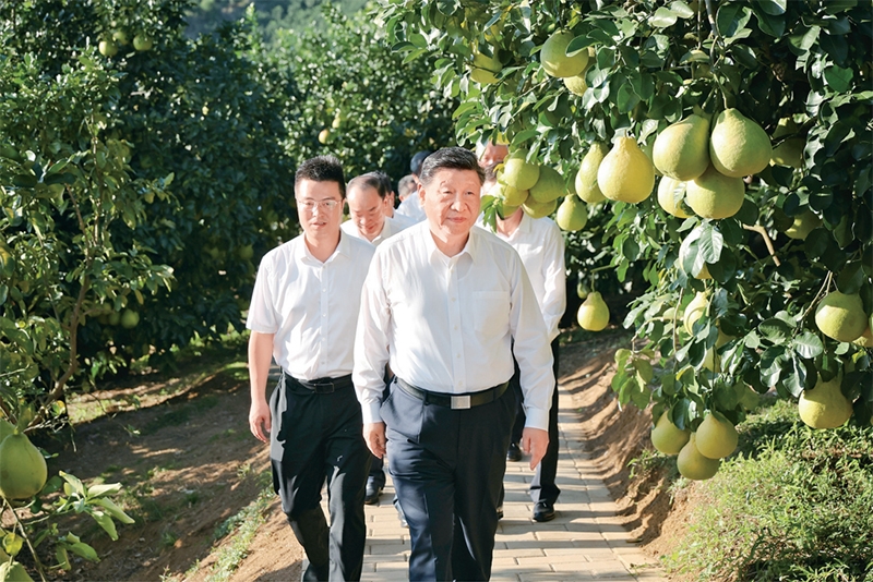 学习好贯彻好党的二十届四中全会精神「相关图片」