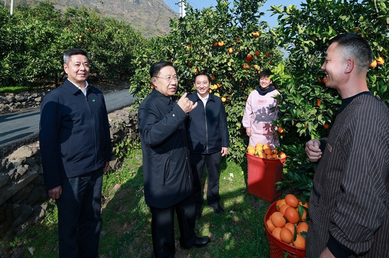 王晓晖在凉山州调研时强调 
更加注重在发展中保障和改善民生 
在满足民生需求中不断拓展发展空间「相关图片」