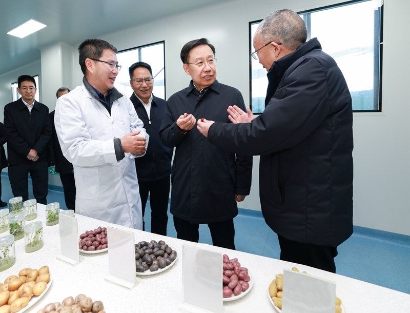 王晓晖在凉山州调研时强调 
更加注重在发展中保障和改善民生 
在满足民生需求中不断拓展发展空间「相关图片」