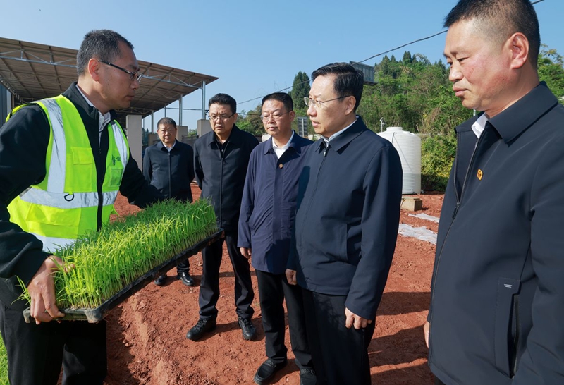 王晓晖在乐山市调研时强调
自觉把正确政绩观树立好践行好
以实干实绩推动经济社会高质量发展「相关图片」