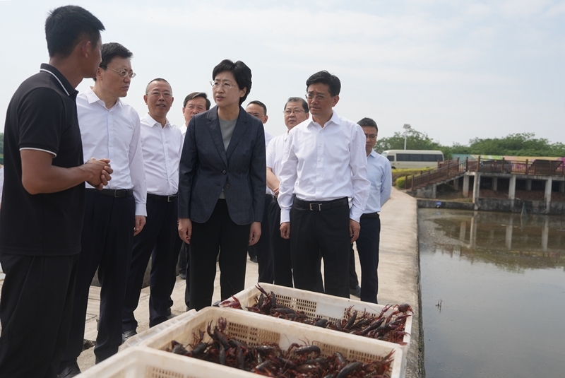 施小琳在内江市、资阳市调研时强调 
突出高质量发展目标导向 
加快做大做强特色产业培育壮大新动能「相关图片」