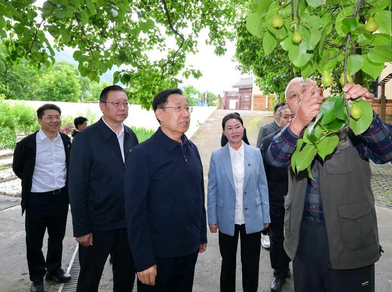 王晓晖在阿坝州甘孜州调研时强调
坚持以推进乡村全面振兴为总抓手
扎实推进民族地区农业农村现代化「相关图片」