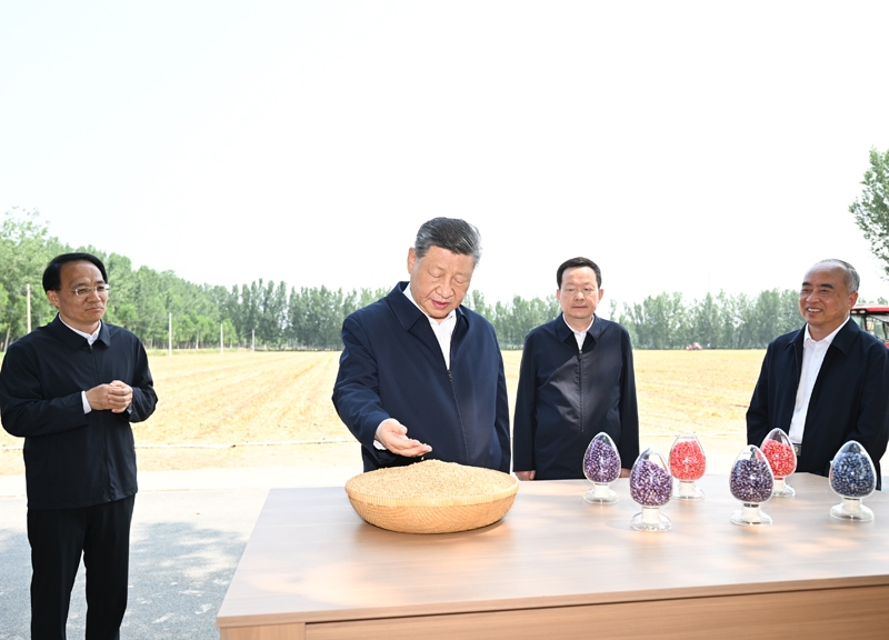 习近平在山东德州考察时强调
以扎实举措推进农业农村现代化
用勤劳和智慧创造更加美好生活「相关图片」