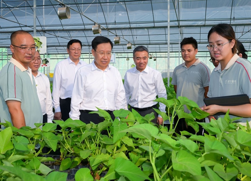 王晓晖在遂宁市南充市调研时强调
加快塑造高质量发展新动能新优势
全力推动经济平稳运行向新向优发展「相关图片」